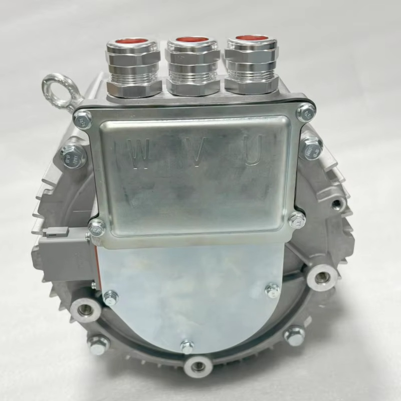 PMSM Rated 20kw Peak 45kw Peak - Ev Electric Motor Conversion Kit Car 评论和价格